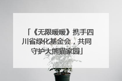 《无限暖暖》携手四川省绿化基金会，共同守护大熊猫家园