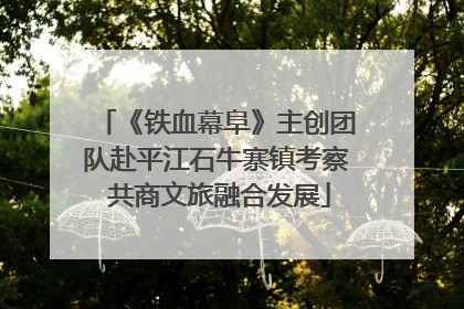 《铁血幕阜》主创团队赴平江石牛寨镇考察 共商文旅融合发展