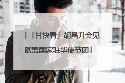 「甘快看」胡昌升会见欧盟国家驻华使节团