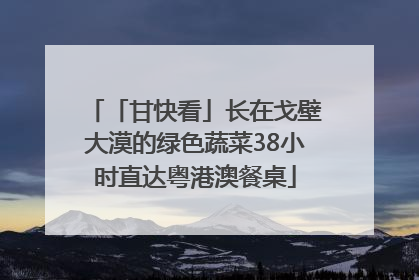 「甘快看」长在戈壁大漠的绿色蔬菜38小时直达粤港澳餐桌