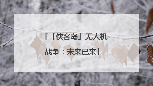 「侠客岛」无人机战争：未来已来