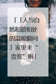 「人与自然和谐相处的温暖瞬间」家里来“贵客”啦