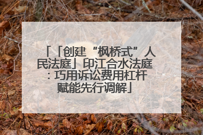 「创建“枫桥式”人民法庭」印江合水法庭：巧用诉讼费用杠杆 赋能先行调解