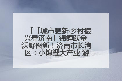 「城市更新·乡村振兴看济南」锦鲤跃金 沃野图新！济南市长清区：小锦鲤大产业 游出农旅新风景