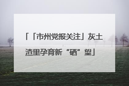 「市州党报关注」灰土渣里孕育新“硒”望