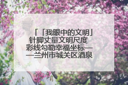 「我眼中的文明」针脚丈量文明尺度 彩线勾勒幸福坐标——兰州市城关区酒泉路街道办事处