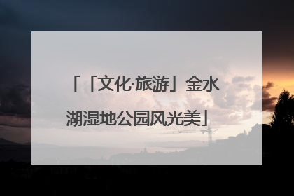 「文化·旅游」金水湖湿地公园风光美
