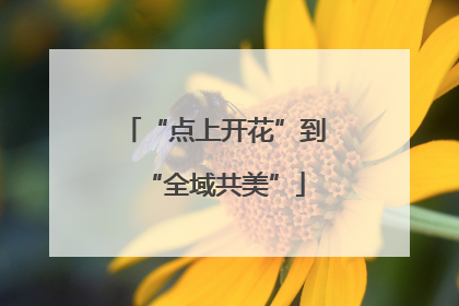 “点上开花”到“全域共美”