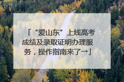 “爱山东”上线高考成绩及录取证明办理服务，操作指南来了→