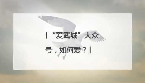 “爱武城”大众号，如何爱？