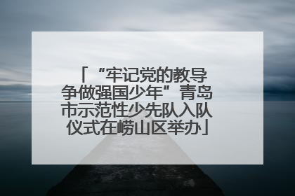 “牢记党的教导 争做强国少年”青岛市示范性少先队入队仪式在崂山区举办