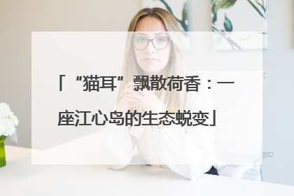 “猫耳”飘散荷香：一座江心岛的生态蜕变