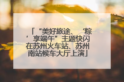 “美好旅途、‘粽’享端午”主题快闪在苏州火车站、苏州南站候车大厅上演