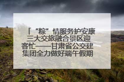 “粽”情服务护安康 三大交旅融合景区迎客忙——甘肃省公交建集团全力做好端午假期景区运营工作