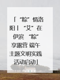 “粽”情洛阳丨“艾”在伊滨 “粽”享露营 端午主题文明实践活动启动
