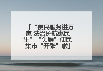 “便民服务进万家 法治护航惠民生”“头雁”便民集市“开张”啦