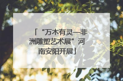 “万木有灵—非洲雕塑艺术展”河南安阳开展