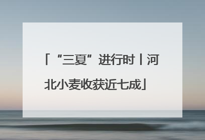“三夏”进行时丨河北小麦收获近七成