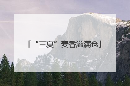 “三夏”麦香溢满仓