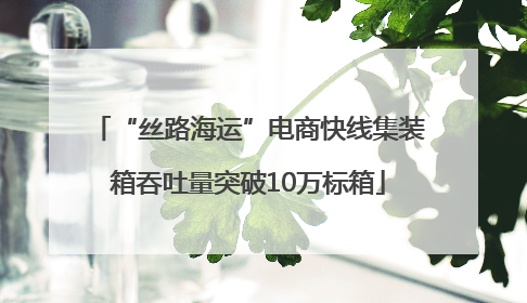 “丝路海运”电商快线集装箱吞吐量突破10万标箱