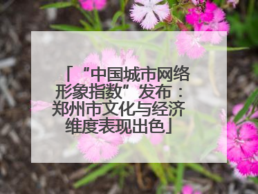 “中国城市网络形象指数”发布：郑州市文化与经济维度表现出色