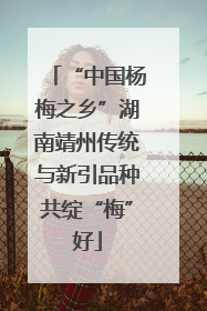 “中国杨梅之乡”湖南靖州传统与新引品种共绽“梅”好