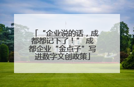 “企业说的话，成都都记下了！” 成都企业“金点子”写进数字文创政策