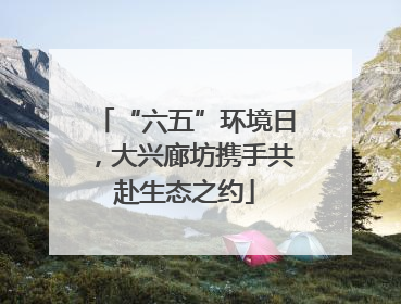 “六五”环境日，大兴廊坊携手共赴生态之约
