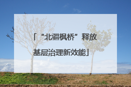 “北疆枫桥”释放基层治理新效能