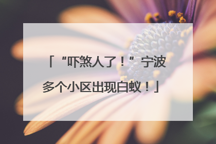 “吓煞人了！”宁波多个小区出现白蚁！