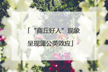 “商丘好人”现象呈现蒲公英效应