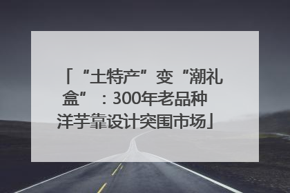 “土特产”变“潮礼盒”：300年老品种洋芋靠设计突围市场
