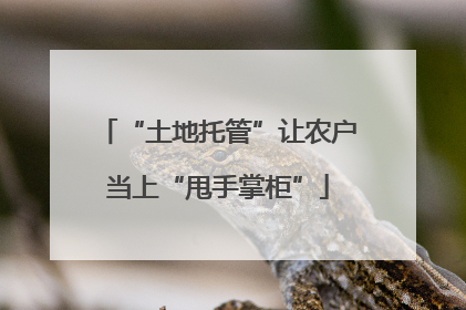 “土地托管”让农户当上“甩手掌柜”