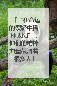 “在命运的裂缝中播种太阳”，他们的精神力量鼓舞着很多人