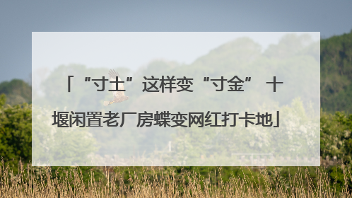 “寸土”这样变“寸金” 十堰闲置老厂房蝶变网红打卡地