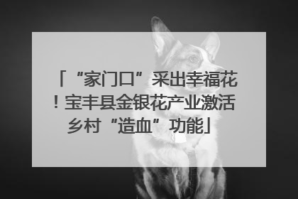 “家门口”采出幸福花！宝丰县金银花产业激活乡村“造血”功能