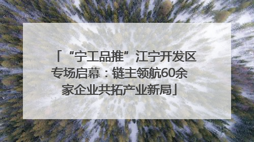 “宁工品推”江宁开发区专场启幕：链主领航60余家企业共拓产业新局
