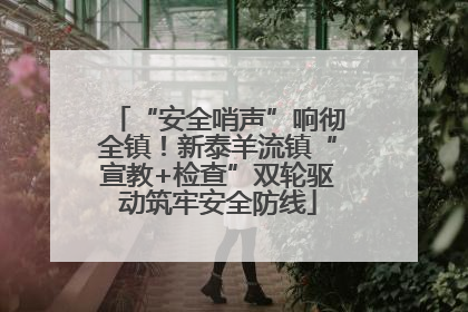 “安全哨声”响彻全镇！新泰羊流镇“宣教+检查”双轮驱动筑牢安全防线