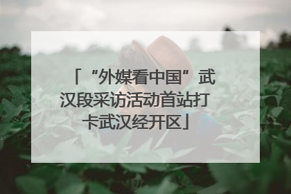 “外媒看中国”武汉段采访活动首站打卡武汉经开区