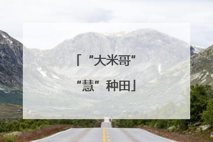 “大米哥”“慧”种田