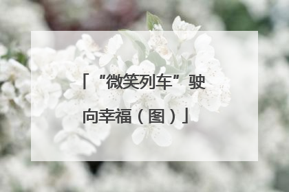 “微笑列车”驶向幸福（图）
