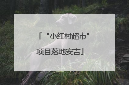 “小红村超市”项目落地安吉
