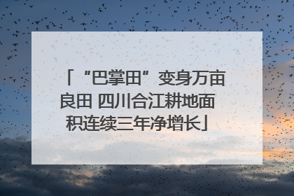 “巴掌田”变身万亩良田 四川合江耕地面积连续三年净增长