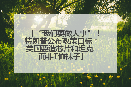 “我们要做大事”！特朗普公布政策目标：美国要造芯片和坦克 而非T恤袜子