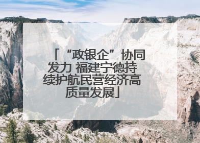 “政银企”协同发力 福建宁德持续护航民营经济高质量发展