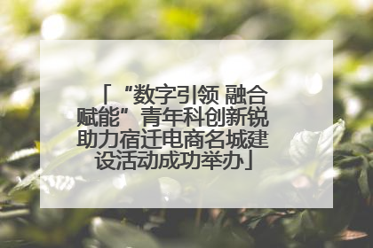“数字引领 融合赋能”青年科创新锐助力宿迁电商名城建设活动成功举办