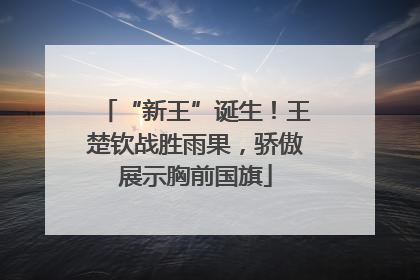 “新王”诞生！王楚钦战胜雨果，骄傲展示胸前国旗