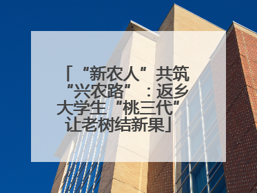 “新农人”共筑“兴农路”：返乡大学生“桃三代”让老树结新果