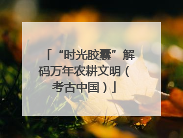 “时光胶囊”解码万年农耕文明（考古中国）