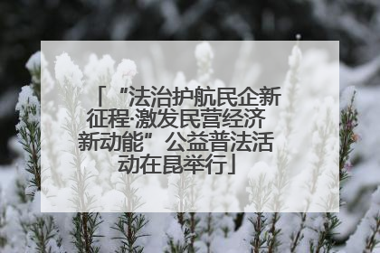 “法治护航民企新征程·激发民营经济新动能”公益普法活动在昆举行